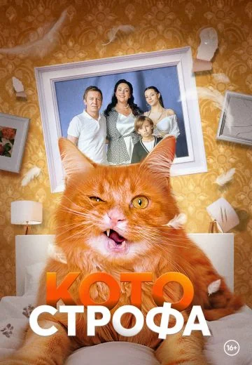 Котострофа (2023-2025)