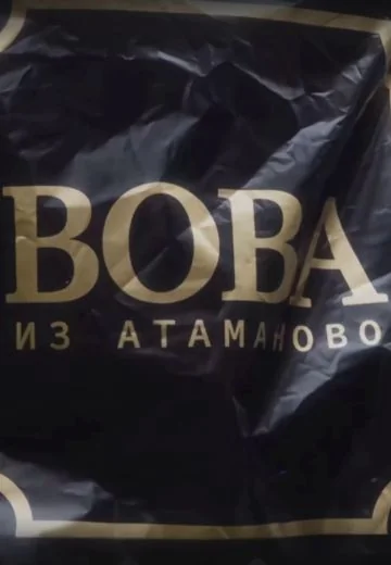 Вова из Атаманово (2024-2025)