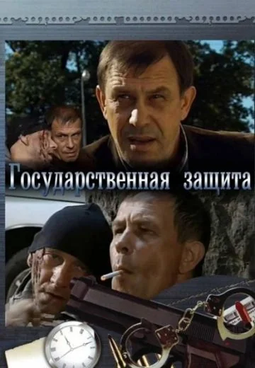 Государственная защита (2010-2013)