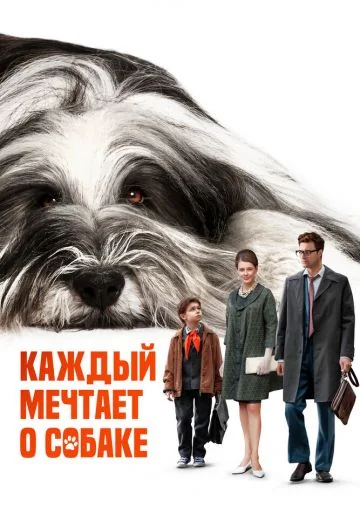 Каждый мечтает о собаке (2024)