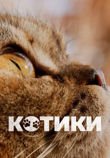 Котики (2023)