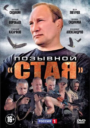 Позывной «Стая» (2013-2014)