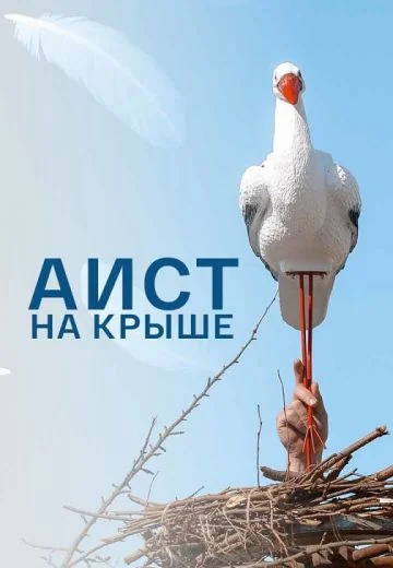 Аист на крыше (2021)