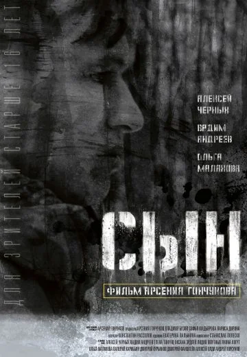 Сын (2014)