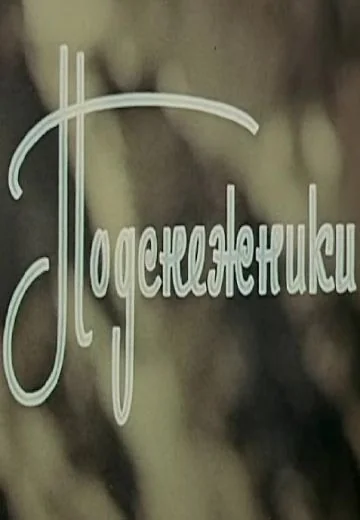 Подснежники (1974)