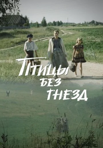 Птицы без гнезд (1996)