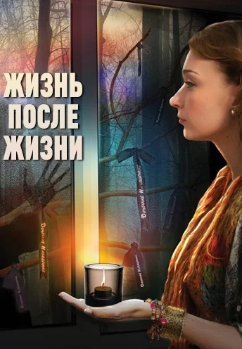 Жизнь после жизни (2013)