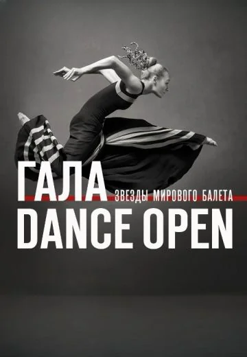 Гала Dance Open (2025)