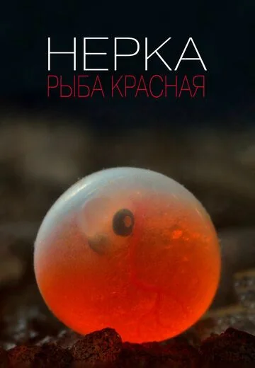 Нерка: Рыба красная (2020)